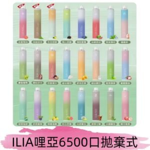 ILIA BAR 4 哩啞一次性拋棄式電子煙｜6500口大容量