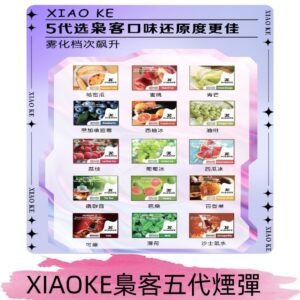 梟客五代煙彈|XIAOKE可替換式電子煙|通用Relx6代|ILIA五代主機