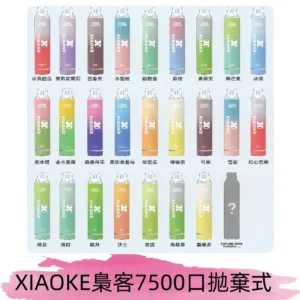 梟客XIAOKE|7500口可發光拋棄式電子煙 跑馬燈一次性